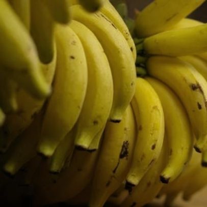 Banana do Vale do Ribeira recebe selo de Indicação Geográfica