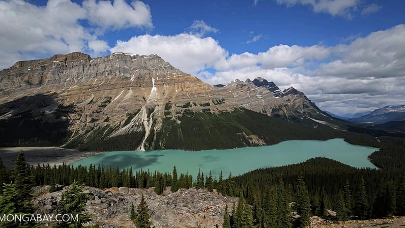 Canadá apresenta investimento de US$730 bi com minas, insustentável