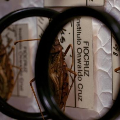 Saúde anuncia R$ 12 milhões para enfrentar doença de Chagas