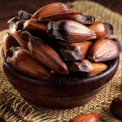 Pinhão: 5 motivos para consumir e dicas de aproveitamento
