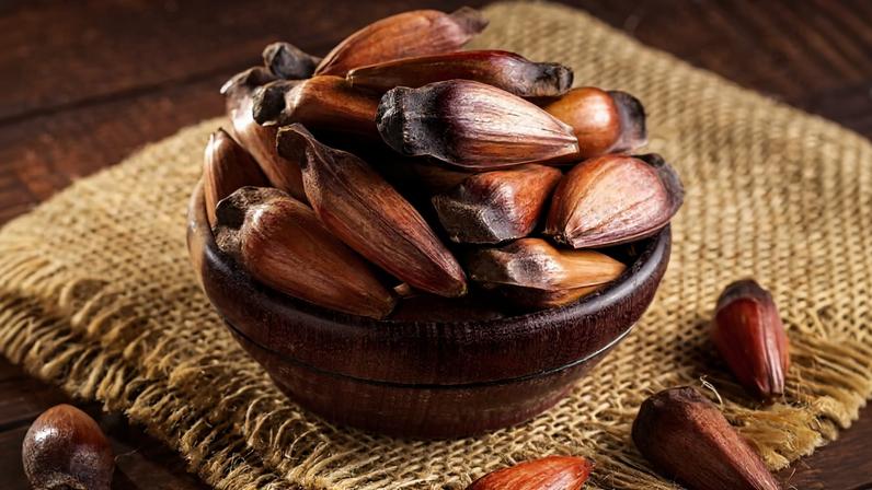 O pinhão é um alimento versátil e oferece benefícios para a saúde
