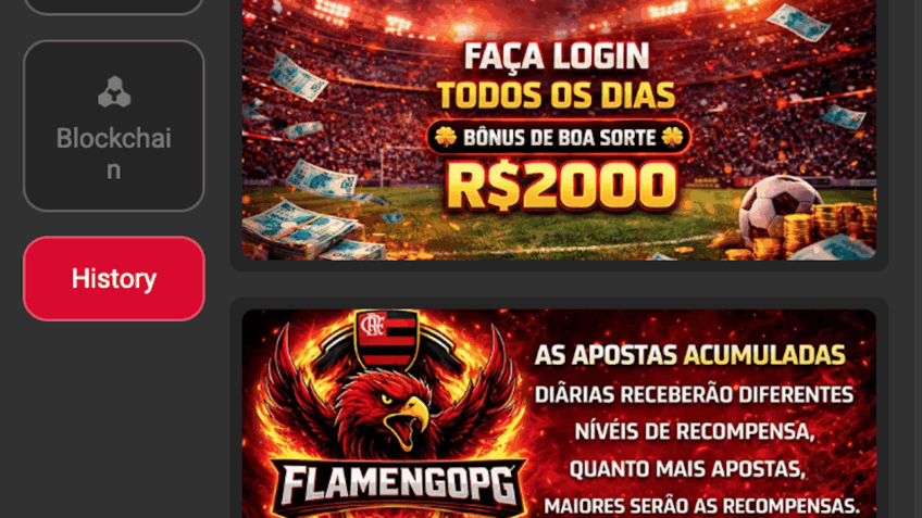 A plataforma apresenta um layout nas cores rubro-negras, ícones que remetem ao escudo do clube, seu mascote, e termos como "nação". A ausência do domínio .bet.br, obrigatório desde janeiro de 2025, também expõe o funcionamento irregular