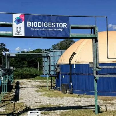Biodigestores transformam resíduos industriais em energia e reduzem emissões