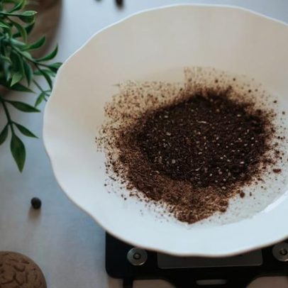 Borra de café como adubo: use com moderação