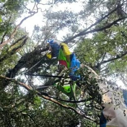 Piloto morre após queda de aeronave na Serra Gaúcha