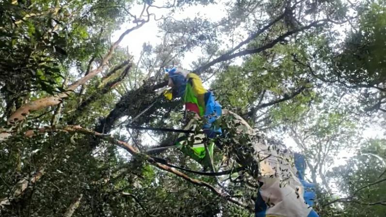 Pedaços de aeronave que caiu na Serra Gaúcha