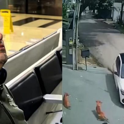Homem que atropelou cães em Manaus é preso após fuga no aeroporto