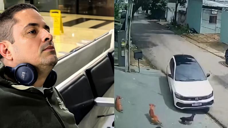 Câmeras de segurança flagraram o momento em que o veículo desvia em alta velocidade para atingir os animais comunitários; sobreviventes estão em estado grave