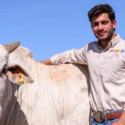 Empresário morto em fazenda no Tocantins e o que se sabe até agora