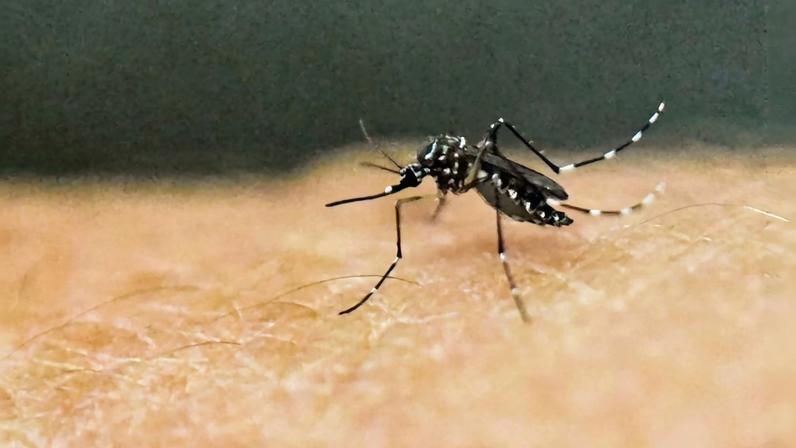 Minas já registrou 39.551 casos prováveis de dengue em 2026