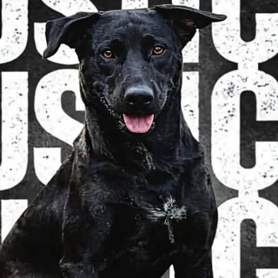 Bombeiro que matou cão em Goiânia diz que queria assustar; comunidade reage