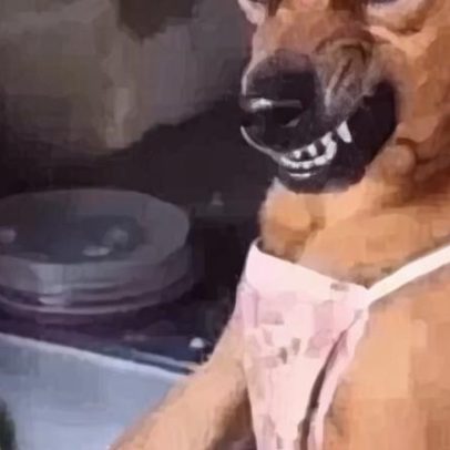 Decisão sobre raça de cachorro caramelo revolta brasileiros online