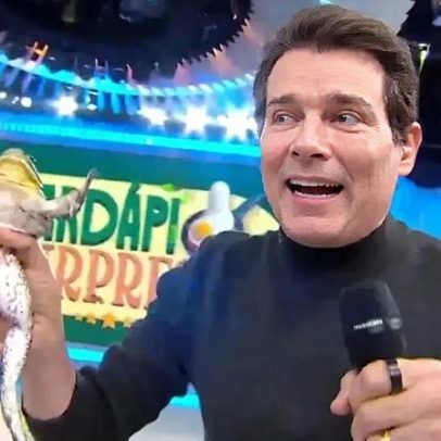 Celso Portiolli e SBT são investigados por maus-tratos a animais