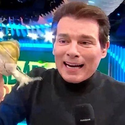 MP investiga Celso Portiolli por suposto maus-tratos a animal