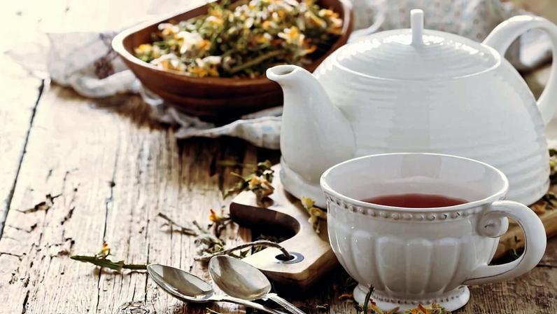 Chás naturais: 7 plantas que exigem cautela no consumo