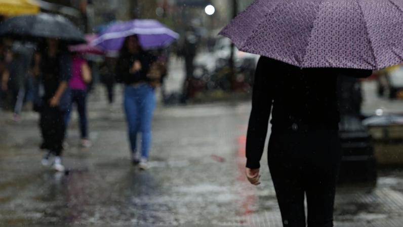São Paulo (SP), 08/11/2024 - Chuva forte no centro de São Paulo. Foto: Paulo Pinto/Agência Brasil