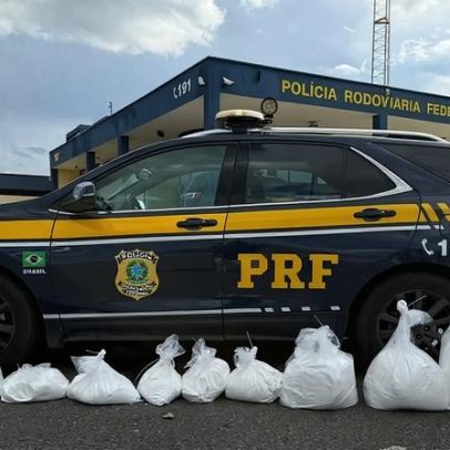 Apreensão de 111 kg de cocaína avaliada em R$ 5 milhões, carro clonado na BR-381