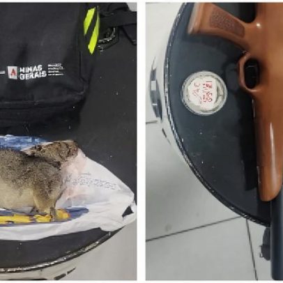 Dupla é presa com armas e animal silvestre abatido em parque estadual de MG