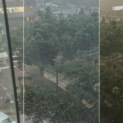 Temporal alaga ruas, derruba árvore e complica trânsito em BH