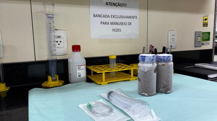 Voluntários podem entrar em contato em transplantedefezeshcufmg@gmail.com