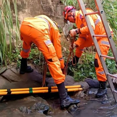 Mulher cai em córrego ao tentar salvar gato em Minas Gerais