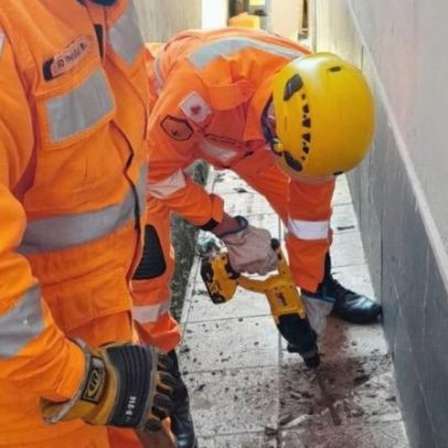 Gato preso em encanamento por mais de 14 horas é resgatado em Minas Gerais
