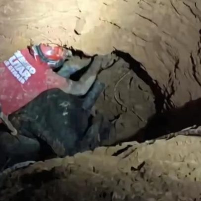 Vaca é resgatada após cair em buraco de 5 metros em Minas Gerais