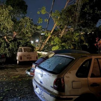 Árvores caem, atingem veículos e arrastam fiação em avenida de BH