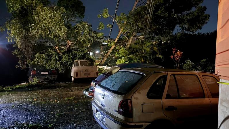 Árvores caem, atingem veículos e arrastam fiação em avenida de BH