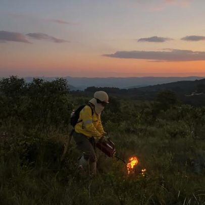 Parque do Gandarela inicia queimas controladas para evitar grandes incêndios