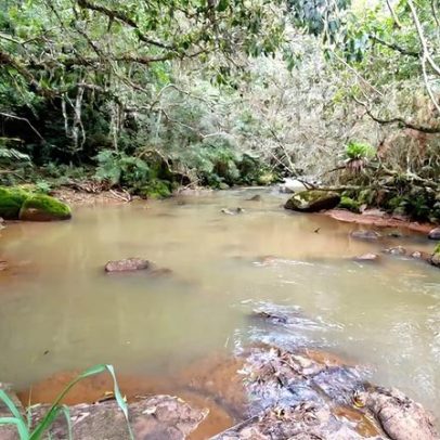 MG tem duas novas reservas ambientais reconhecidas, saiba em quais cidades