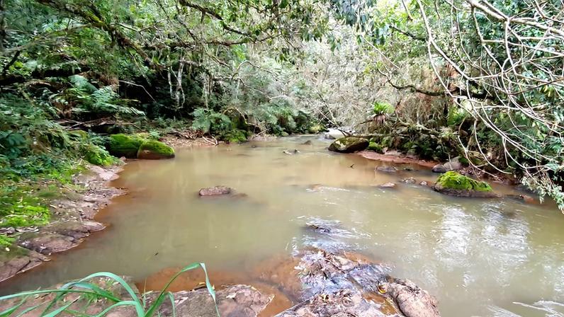 RPPN Serra das Águas, em Munhoz, com 17,86 hectares de Mata Atlântica