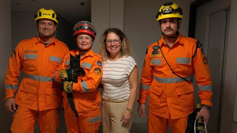 Gato foi resgatado pelos bombeiros e entregue em segurança à sua tutora