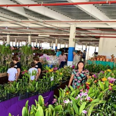 24ª Exposição Anual de Orquídeas ocorre em Montes Claros com entrada gratuita