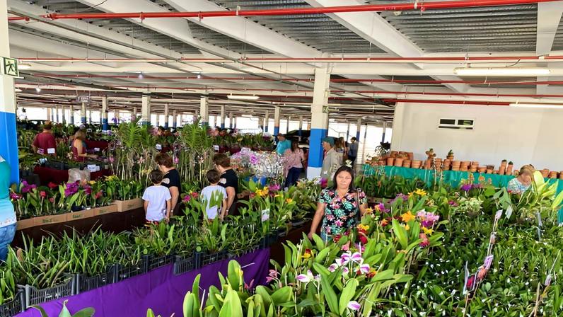 Com entrada gratuita, 24ª Exposição Anual de Orquídeas acontecerá em Montes Claros