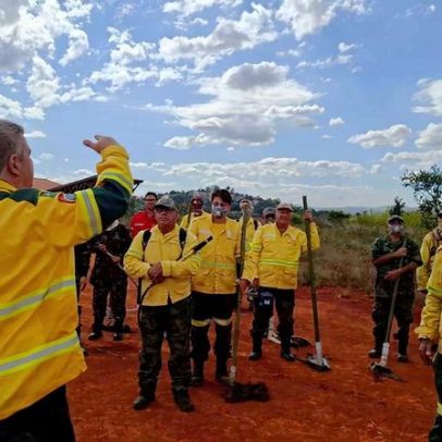 Concurso da Fundação Florestal SP é autorizado com 70 vagas