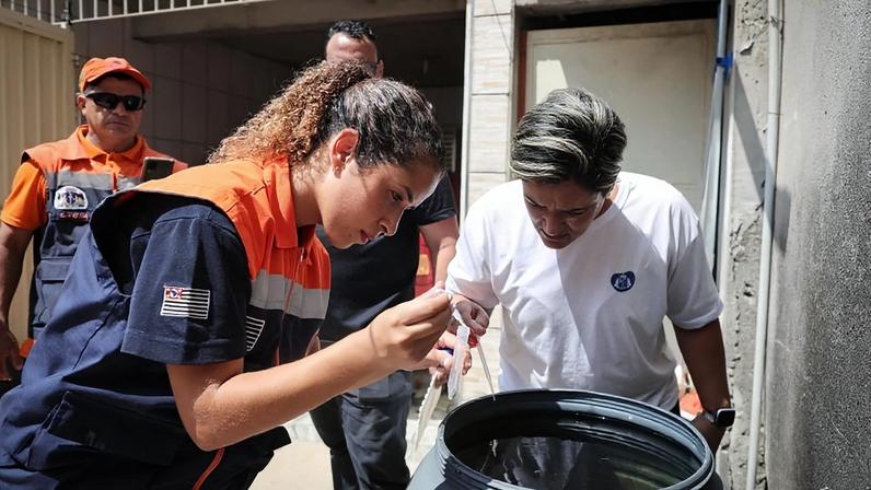 A população deve contribuir para eliminar os focos do Aedes aegypti, o mosquito transmissor da doença