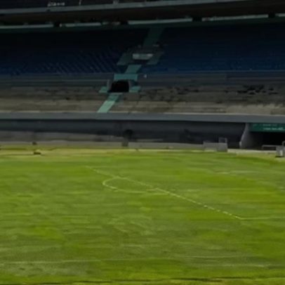 Gramado do Serra Dourada é destaque no Goiás x Cruzeiro pela Copa do Brasil