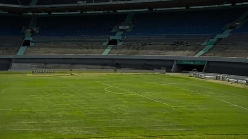 Vista geral de partes do gramado do estádio Serra Dourada, palco de Goiás x Cruzeiro pela Copa do Brasil