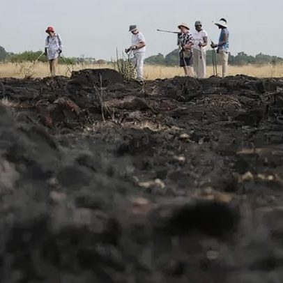Previna incêndios em gramados: mantenha o jardim limpo, orienta LFB