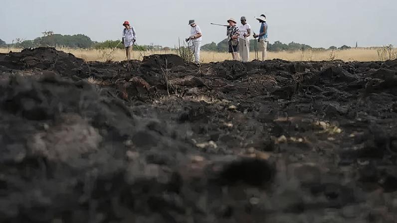 Previna incêndios em gramados: mantenha o jardim limpo, orienta LFB