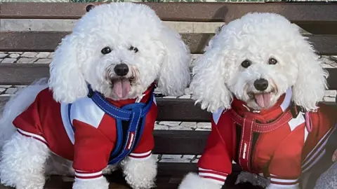 New rules mean Mike Walton's dogs, Penny and Porto, will require different documentation to travel to the EU