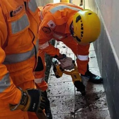 Bombeiros resgatam gato preso em tubulação que apoiava paciente com câncer