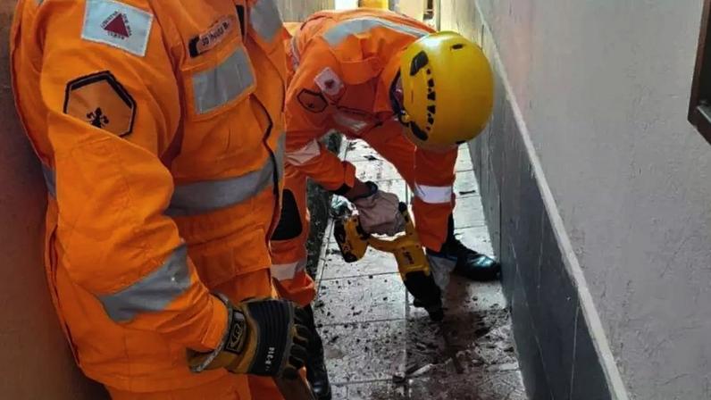 Bombeiros resgatam gato preso em encanamento de casa