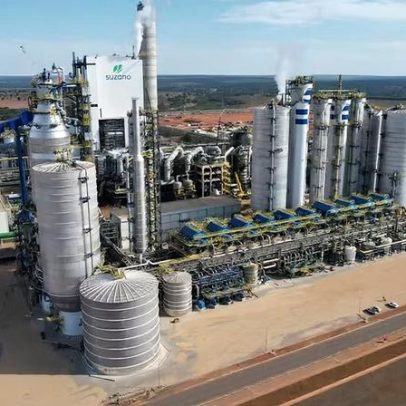 Suzano registra queda de 32% no lucro líquido no 1º trimestre