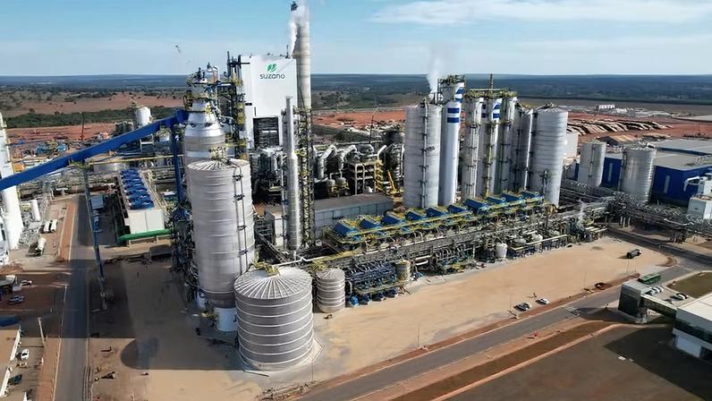 Fábrica da Suzano em Ribas do Rio Pardo(MS) — Foto: Divulgação