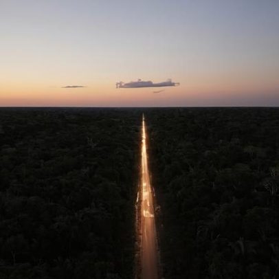 Ação contra editais da BR-319 aponta risco à floresta e brecha para pavimentação