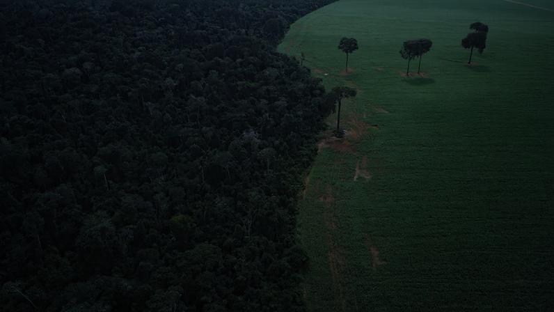 Brasnorte (MT), 09/04/2025 – Vista aérea do encontro da Floresta Amazônica com lavouras de milho e soja, na margem da Terra Indígena Erikpatsa, onde vive o Povo Rikbaktsa. Foto: Fernando Frazão/Agência Brasil