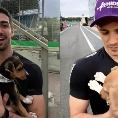 Pilotos da Stock Car adotam cães e batizam com nomes na abertura em Interlagos