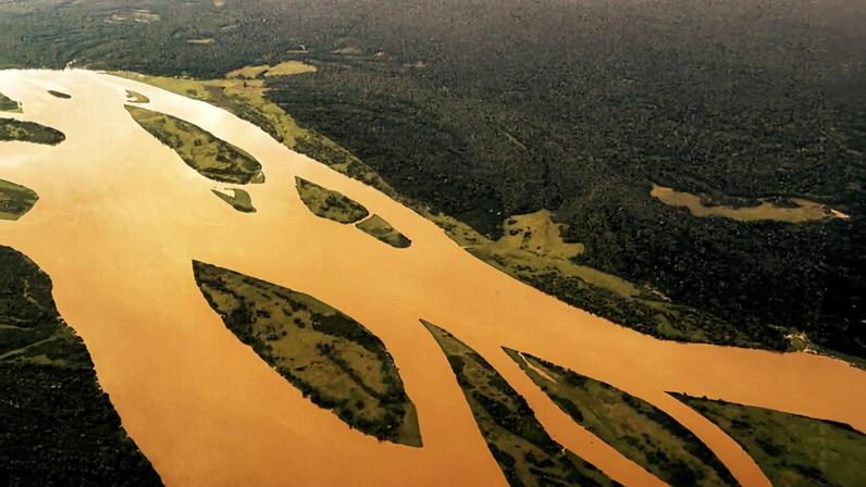 Ano bom para florestas muda menos do que parece